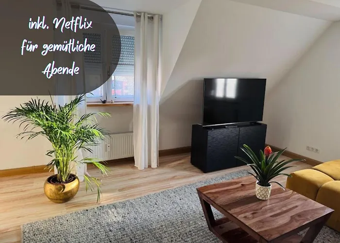 Main-nest * Volkach